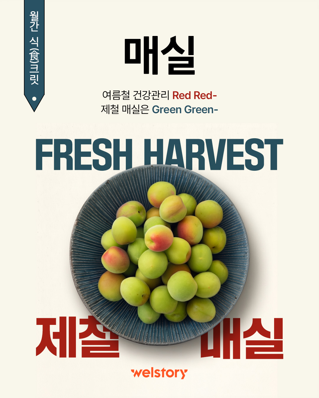 인스타그램 컨텐츠
