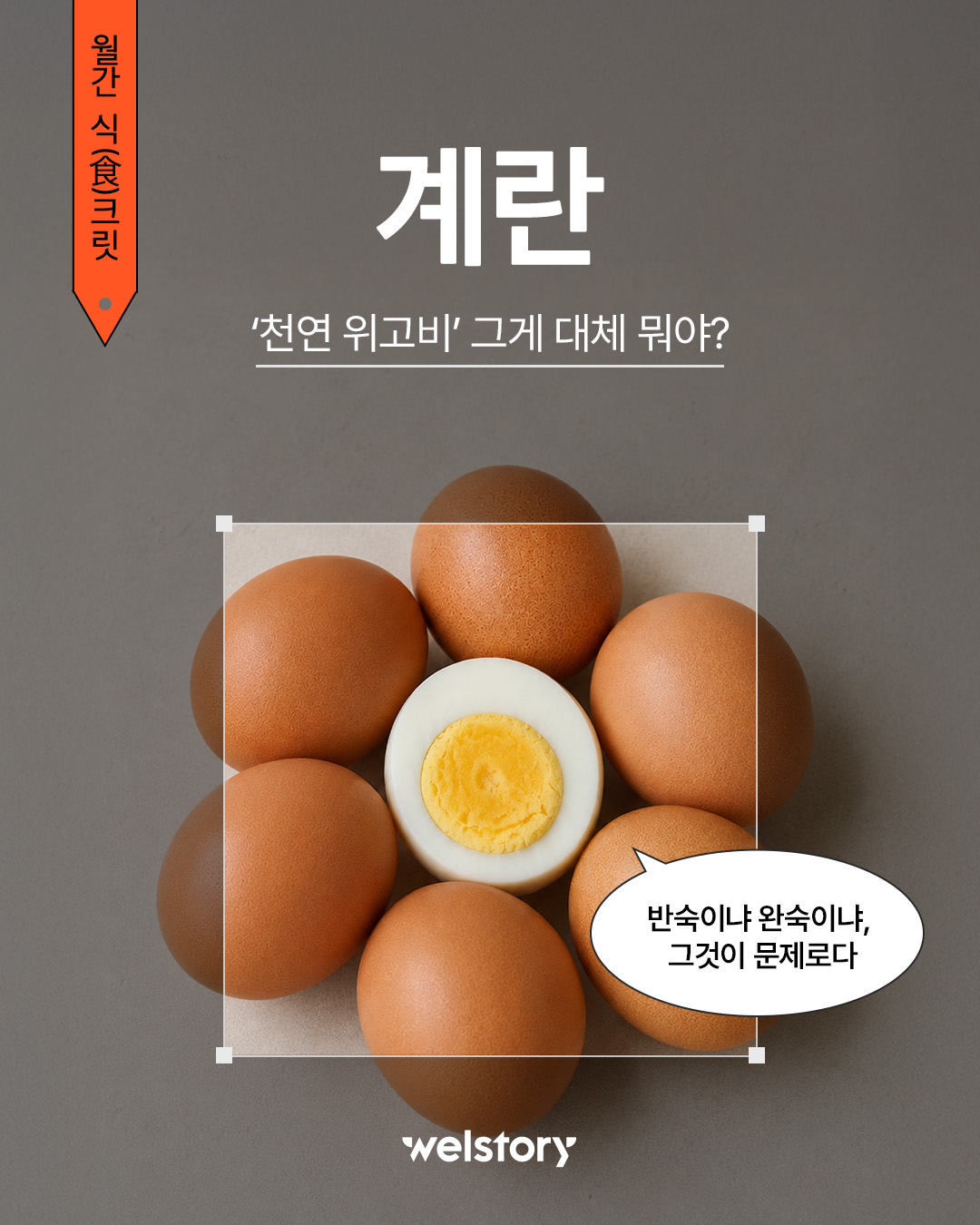 인스타그램 컨텐츠