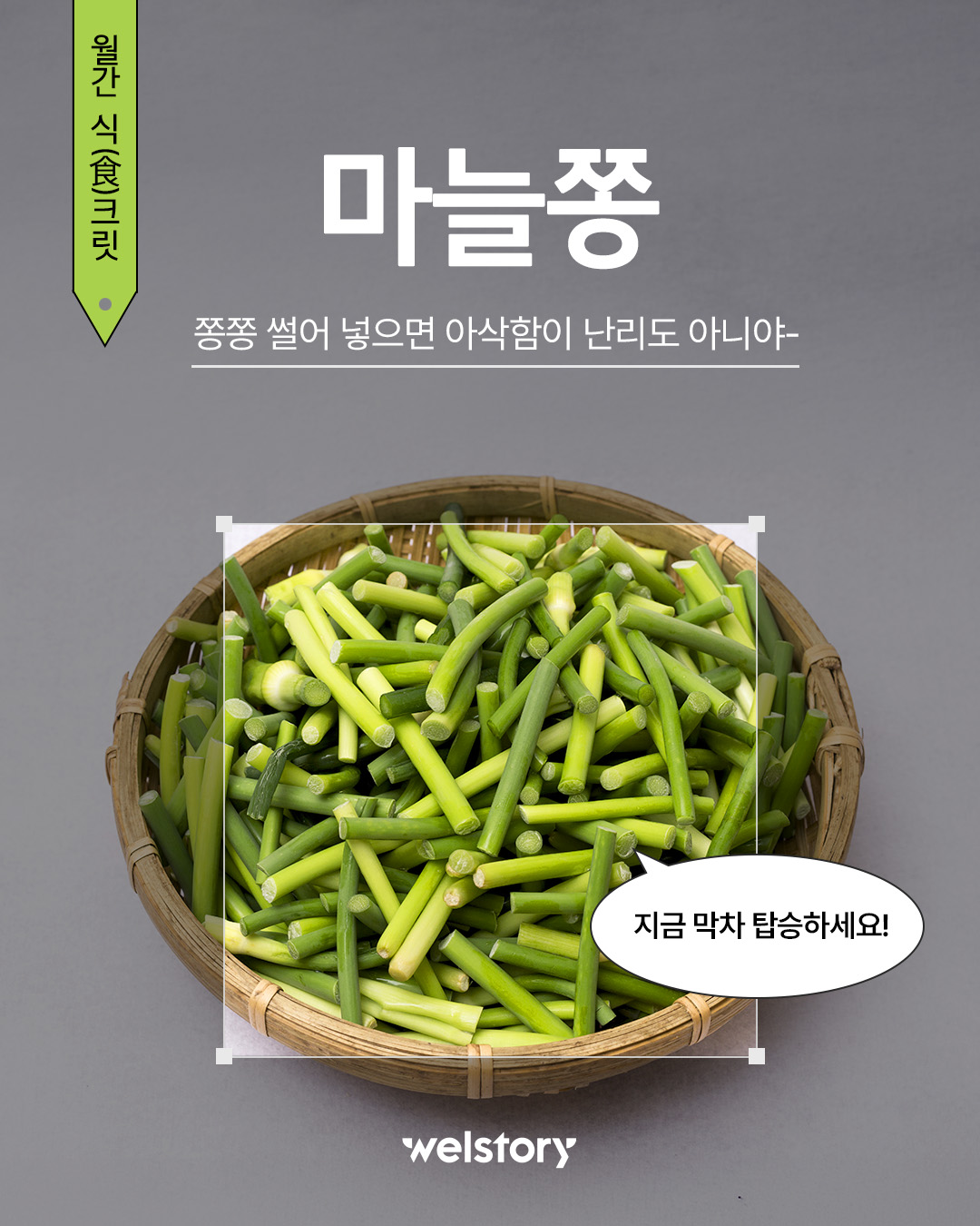 인스타그램 컨텐츠