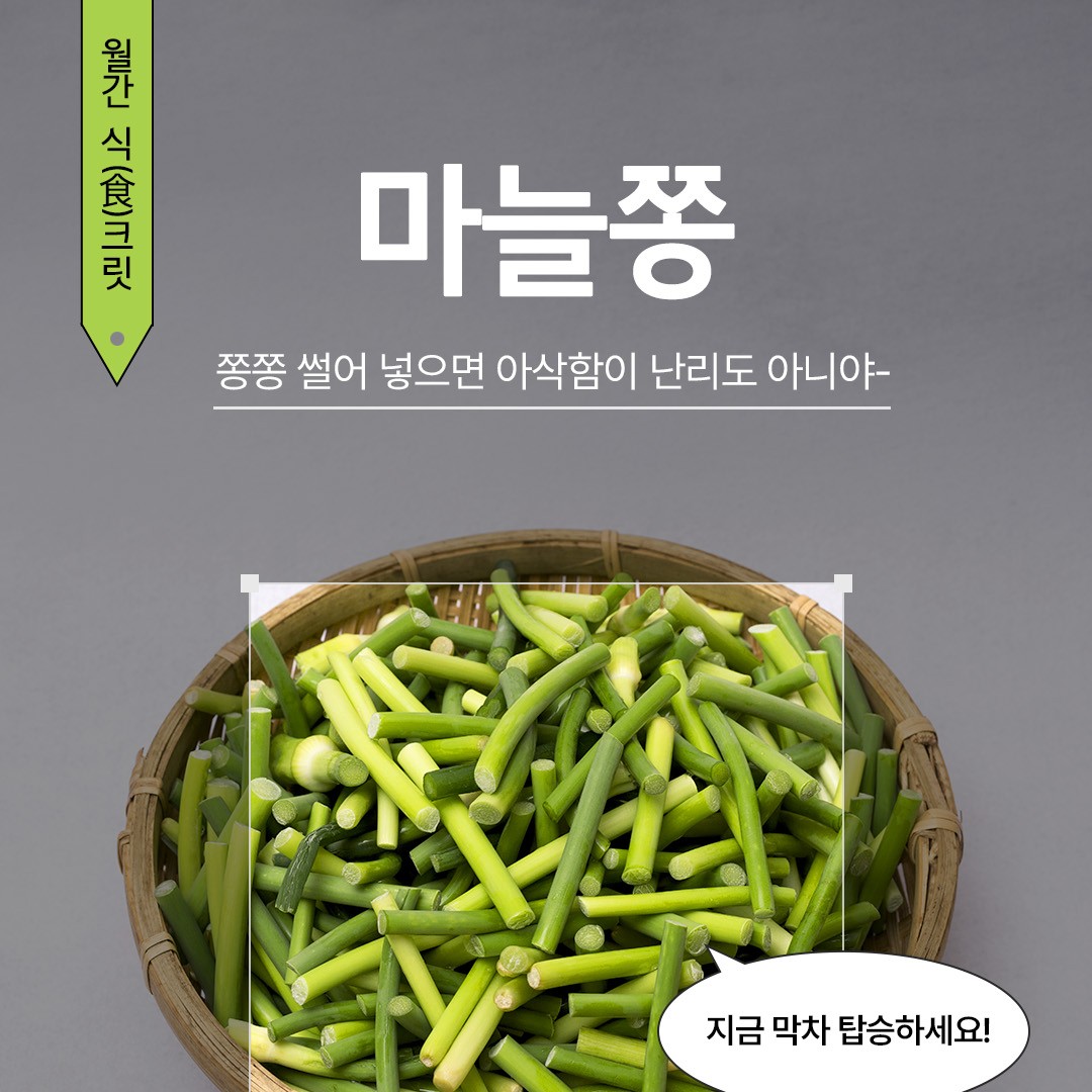 [월간 식크릿 7월] 마늘쫑 편